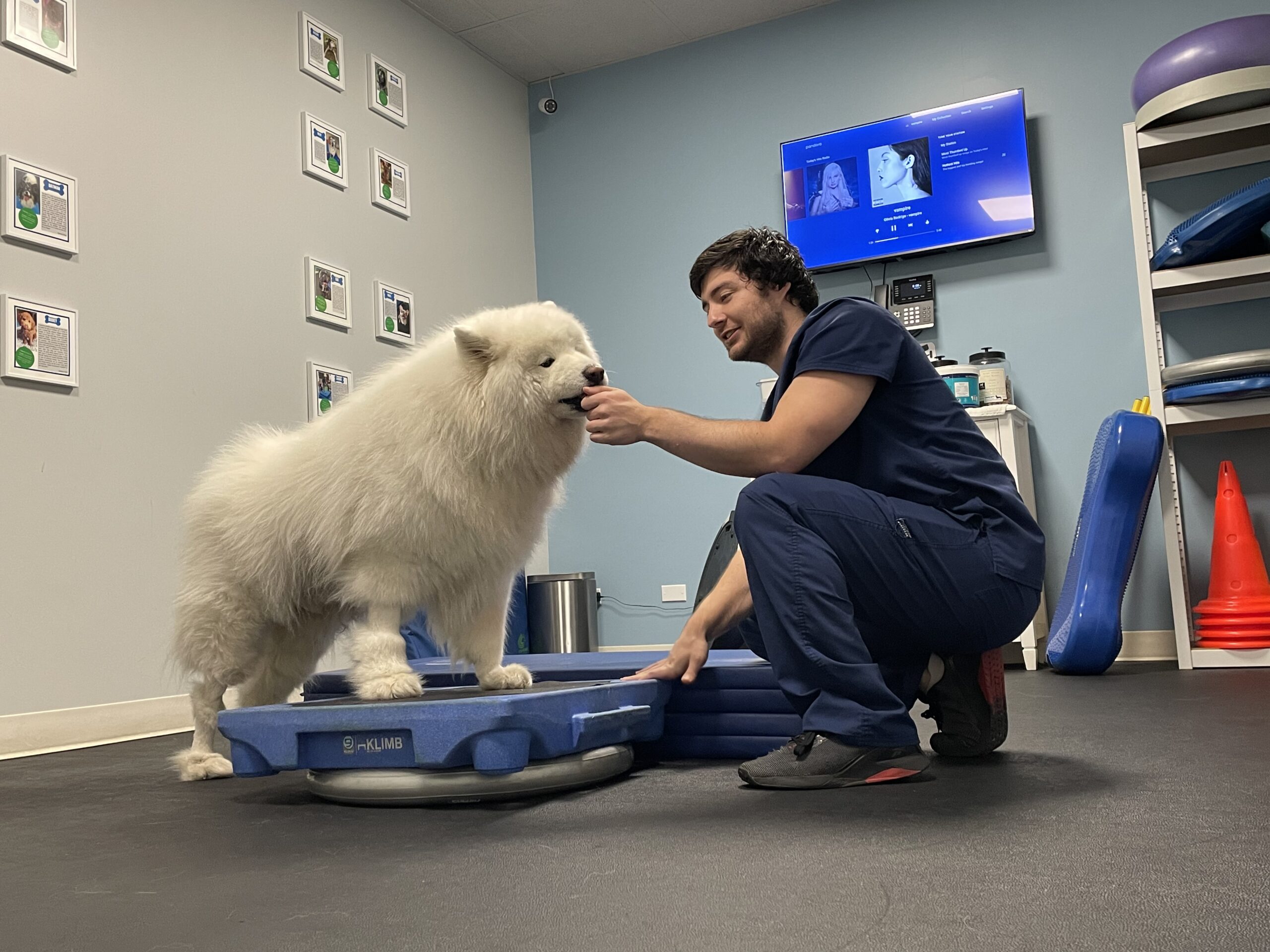 Smiling dog doing canine rehab