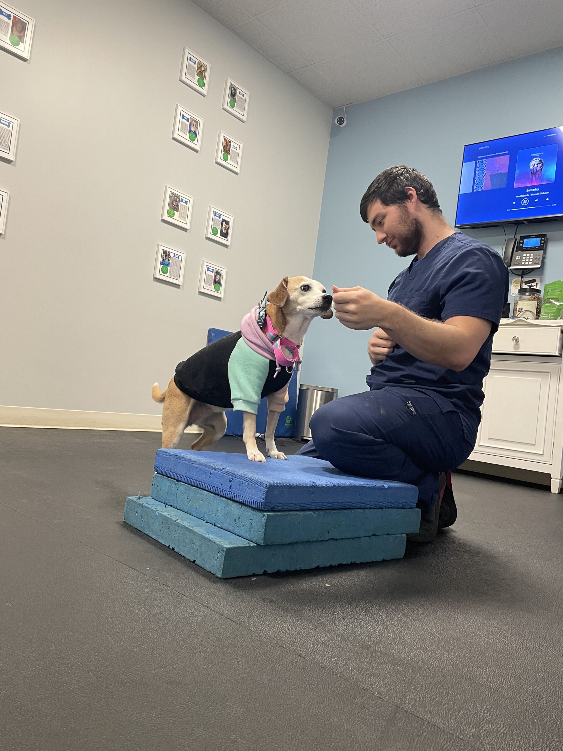 IMG_3552 Laser therapy